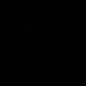 Meet your Posher, Esperanza